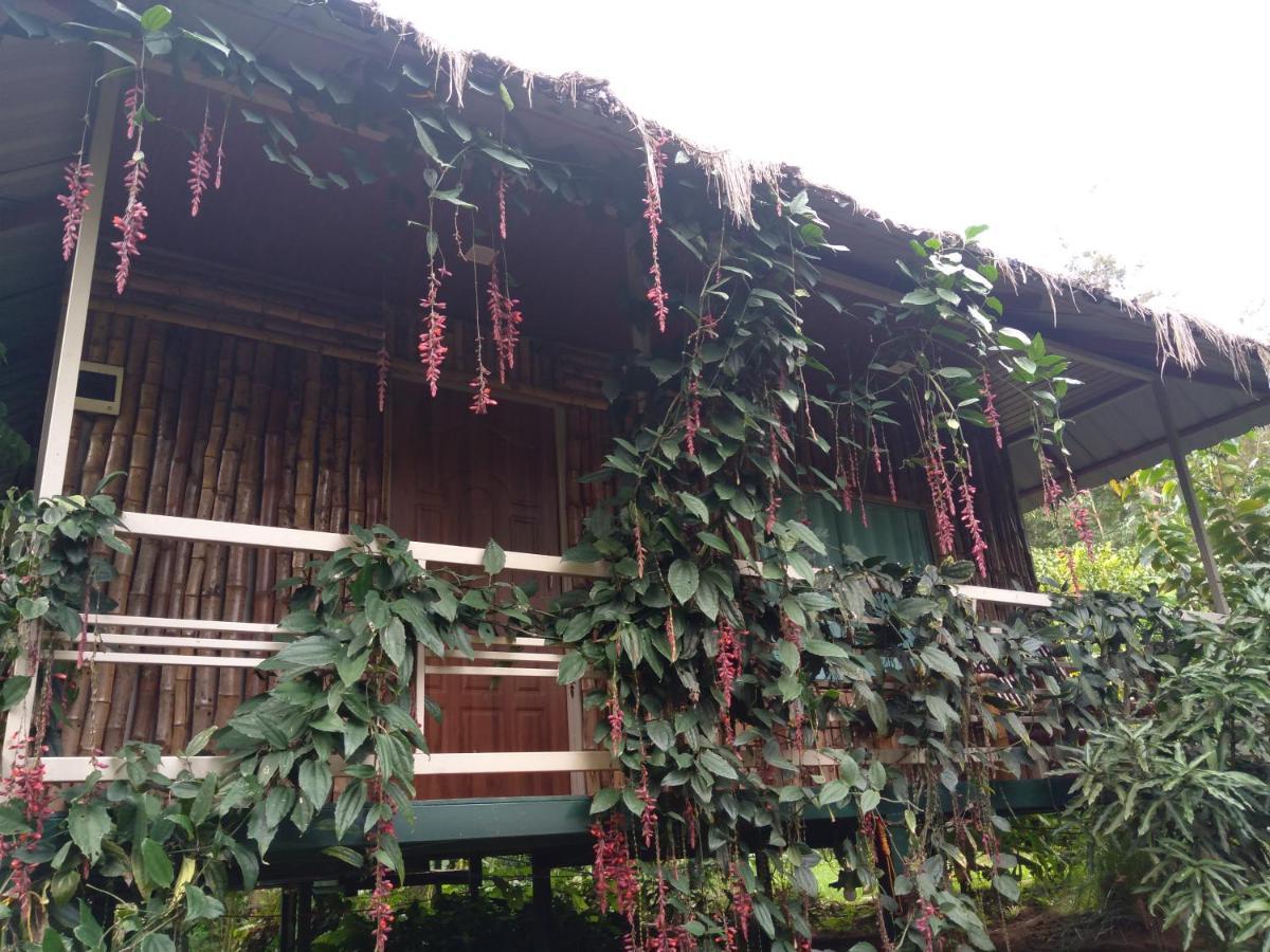 Koomankolly Resort Thirunelly Esterno foto