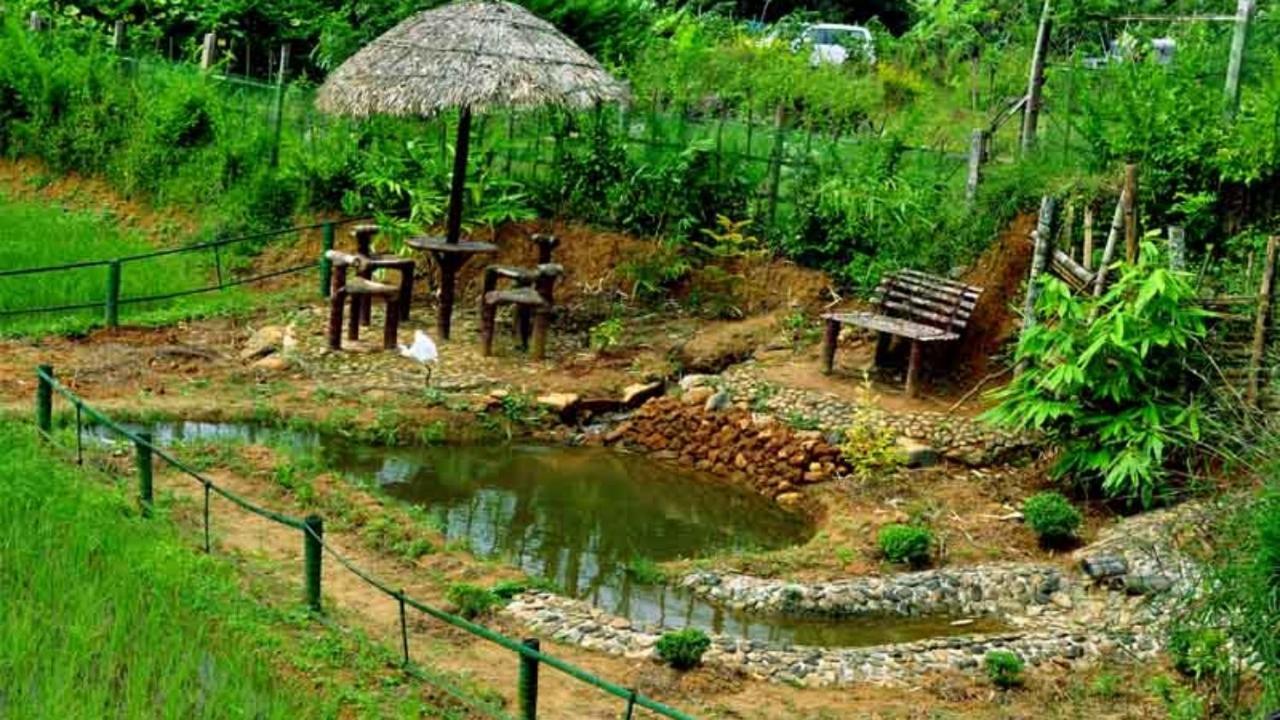 Koomankolly Resort Thirunelly Esterno foto