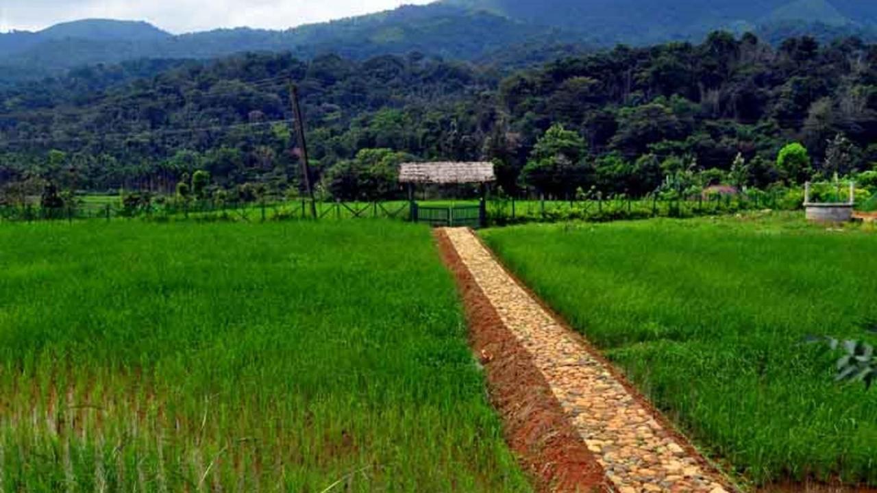 Koomankolly Resort Thirunelly Esterno foto